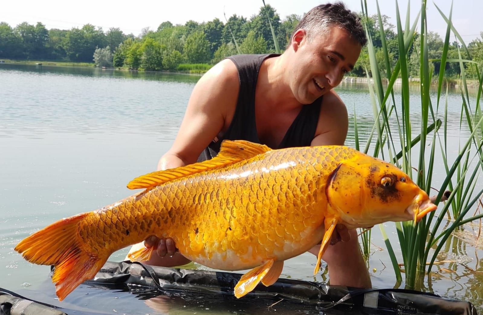 Dulapul de aur! Cea mai fericita zi din viata de pescar a lui Bogdan Mocanu!